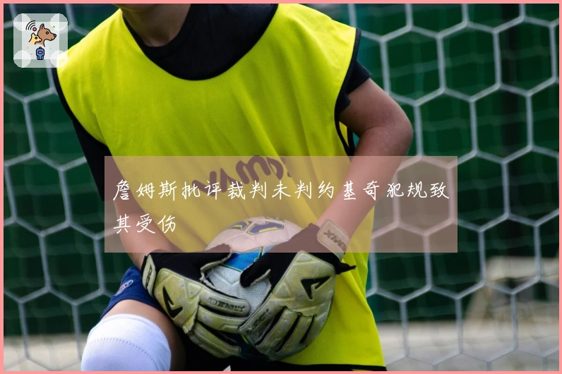 詹姆斯批评裁判未判约基奇犯规致其受伤